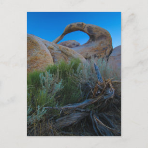 Alabama Backe Arch Vykort