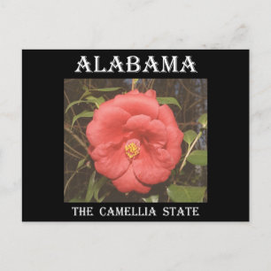 Alabama Camellia (Röd) Vykort