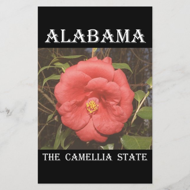 Alabama Camellia (Röda) (Framsida)