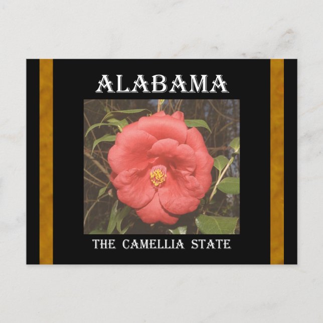 Alabama Camellia (Röda) Vykort (Framsida)
