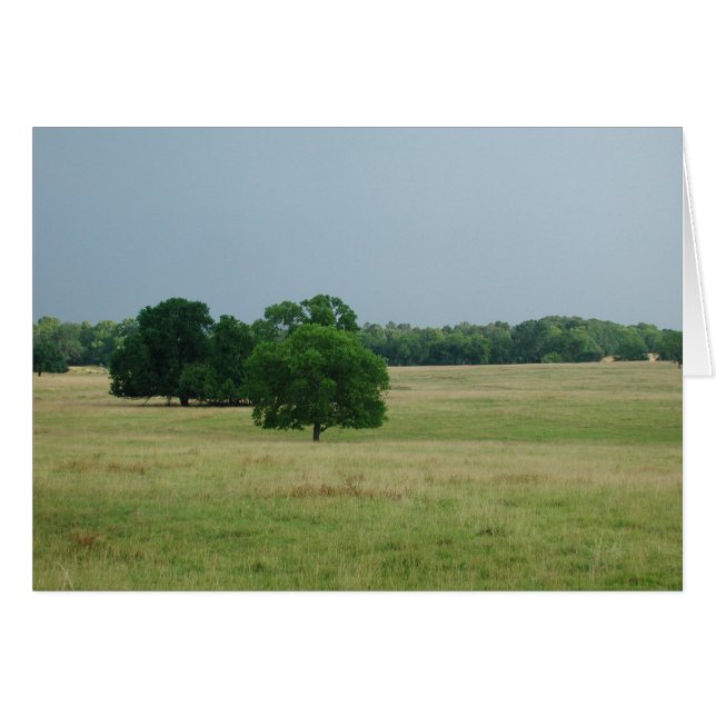 Alabama liggande hälsningskort (Framsidan Horizontal)