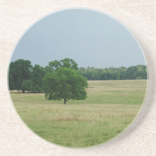 Alabama liggande underlägg sandsten