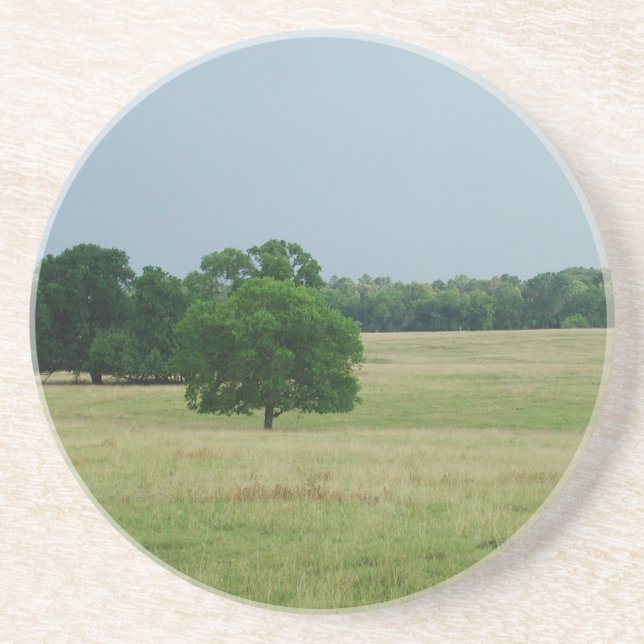 Alabama liggande underlägg sandsten (Framsidan)