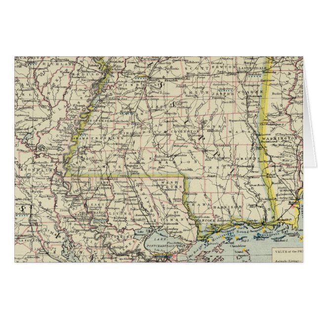 Alabama, Mississippi, Louisiana, Arkansas Hälsningskort (Framsidan Horizontal)