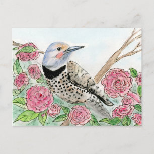 Alabama Postcard Vykort