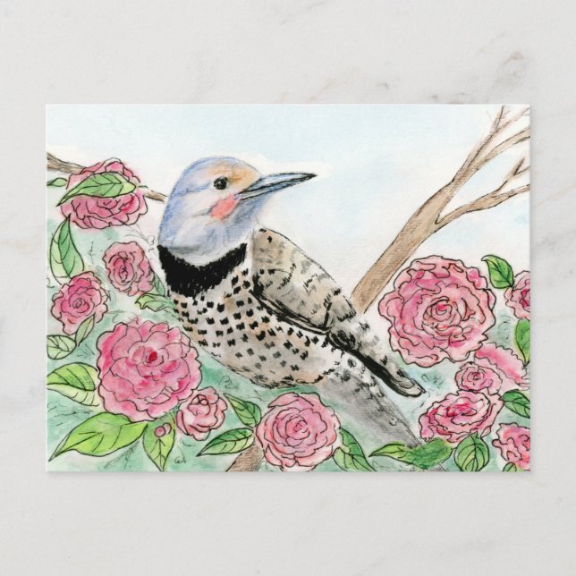 Alabama Postcard Vykort (Framsida)