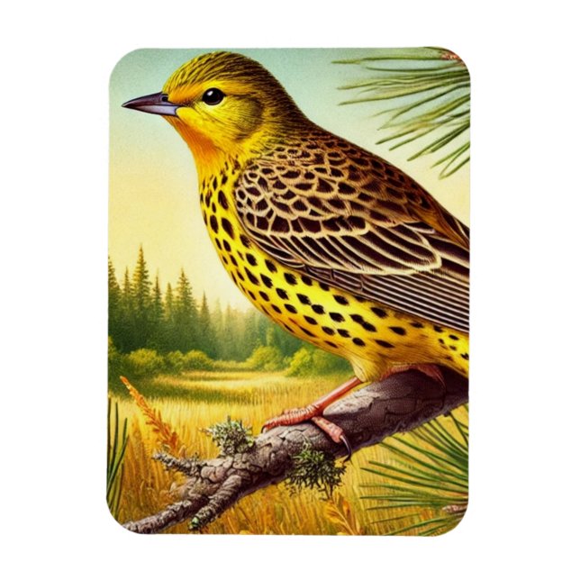 Alabama State Bird Yellowhammer Magnet (Vertikal)