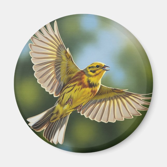 Alabama State Bird Yellowhammer Magnet (Framsidan)