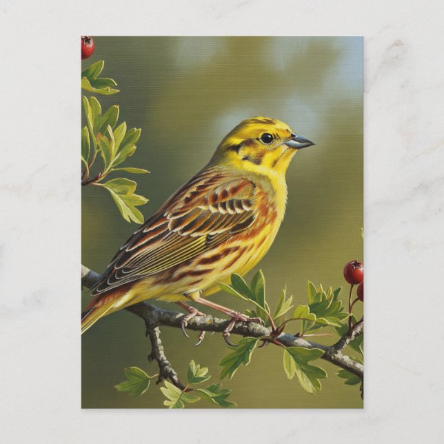 Alabama State Bird Yellowhammer Vykort (Framsida)