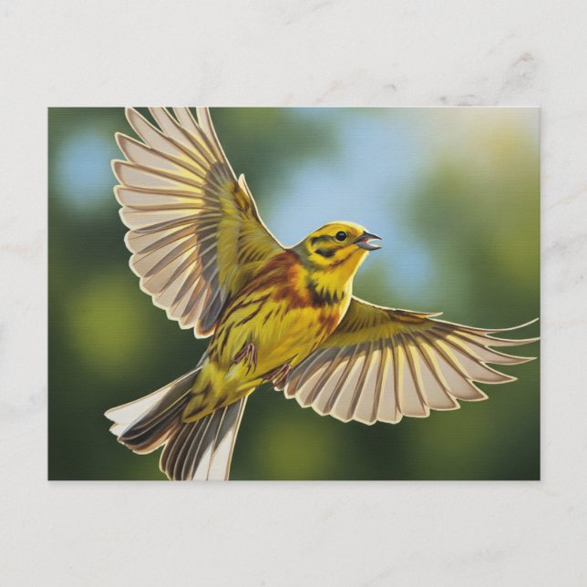 Alabama State Bird Yellowhammer Vykort (Framsida)