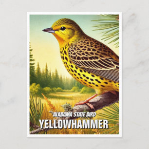 Alabama State Bird Yellowhammer Vykort