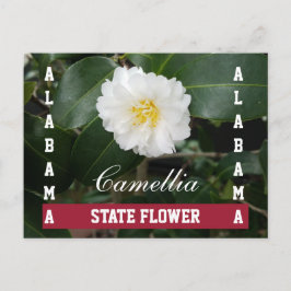 Alabama State Flower Camellia Postcard Vykort