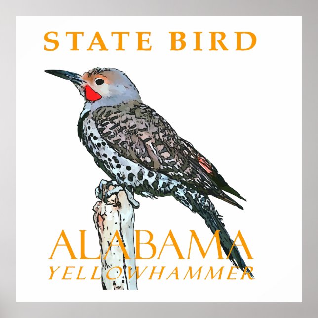 Alabama Territory Fågel Den Vanliga Fläckiga Hacks Poster (Framsidan)