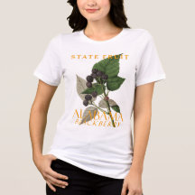 Alabama Territory Frukt Svartbär