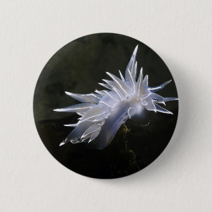 Alabaster- Nudibranch knäppas Knapp