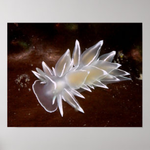 Alabaster Nudigren - Konsthjälpmedel Poster