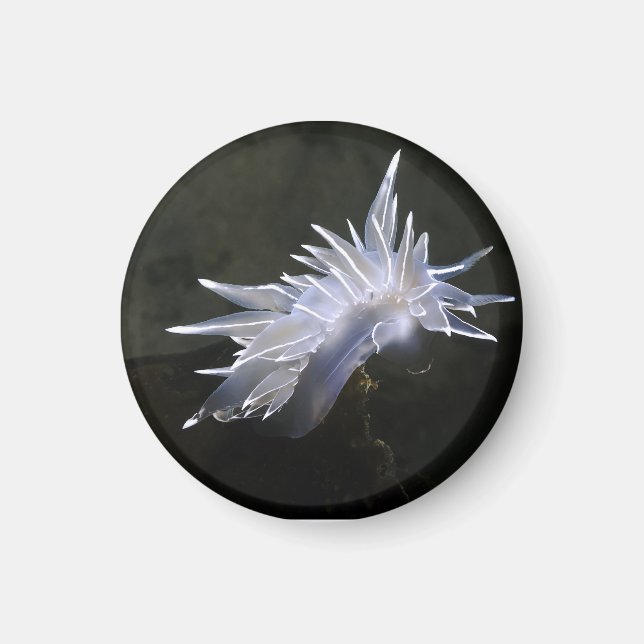 Alabaster Nudigren Magnet (Framsidan)