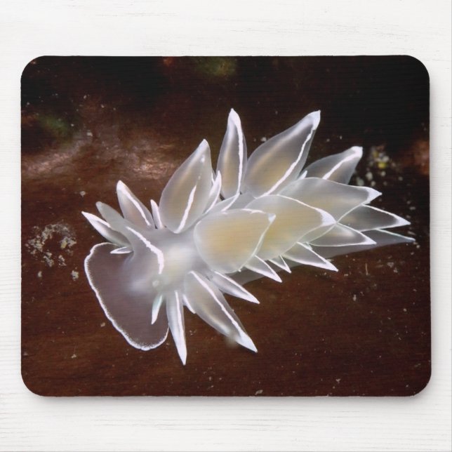 Alabaster Nudigren Musmatta (Framsidan)