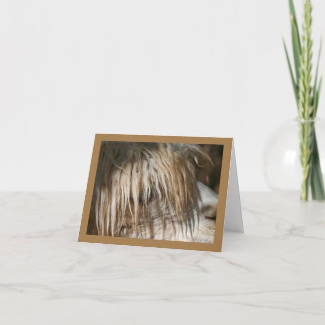 Alaca Close-Up - Card Kort (Framsida)