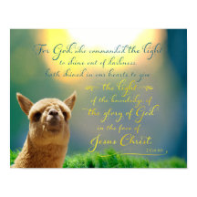 Alaca Guld Teal Bible Quote Poster