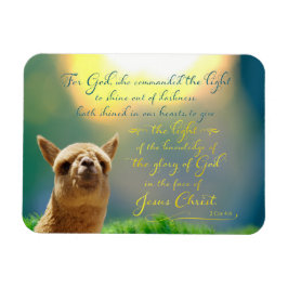 Alaca Guld Teal Bible Verse Photo Magnet
