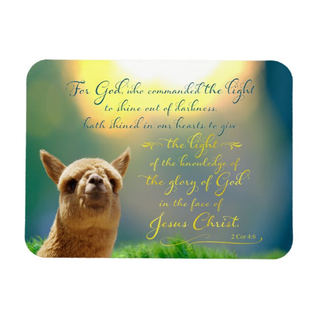 Alaca Guld Teal Bible Verse Photo Magnet (Horisontell)