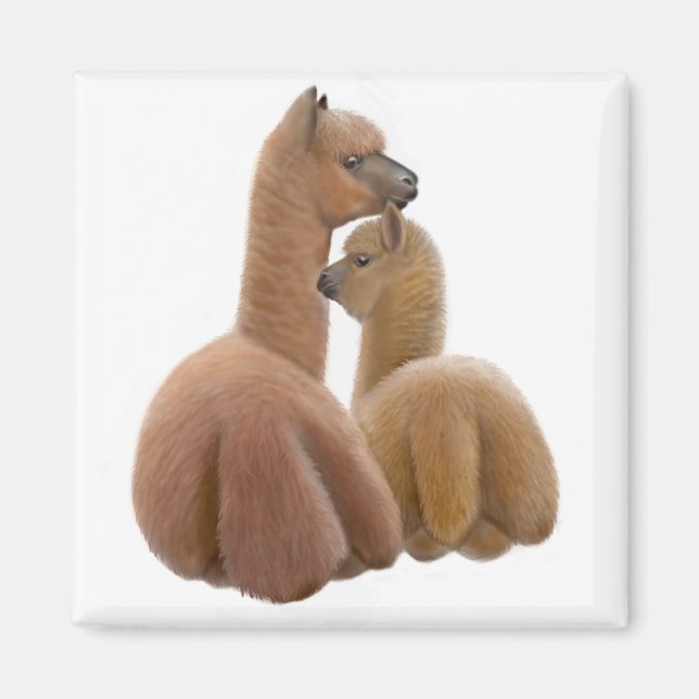 Alaca Kärlek Magnet (Framsidan)