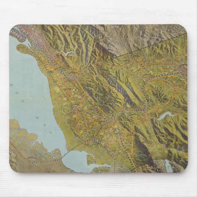 Alameda County Musmatta (Framsidan)
