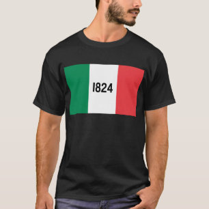 Alamo flaggaT-tröja T-shirt