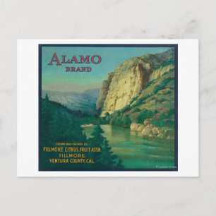 Alamo Orange LabelFillmore, CA Vykort