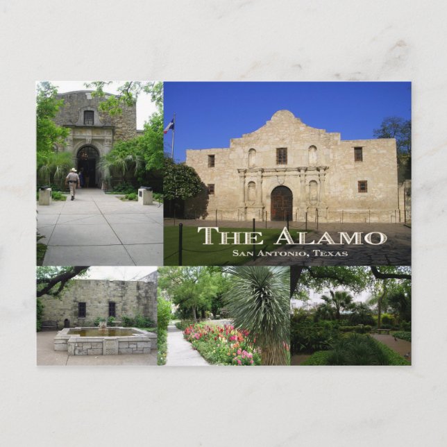 Alamo, San Antonio, Texas Vykort (Framsida)