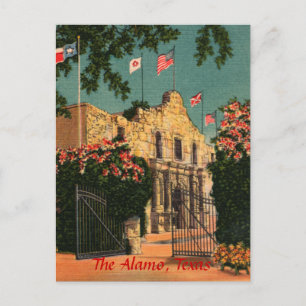 Alamo Vintage Texas vykort
