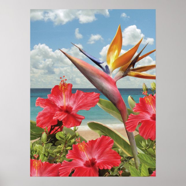 Alan Giana "Hibiscus in Paradise" Poster (Framsidan)
