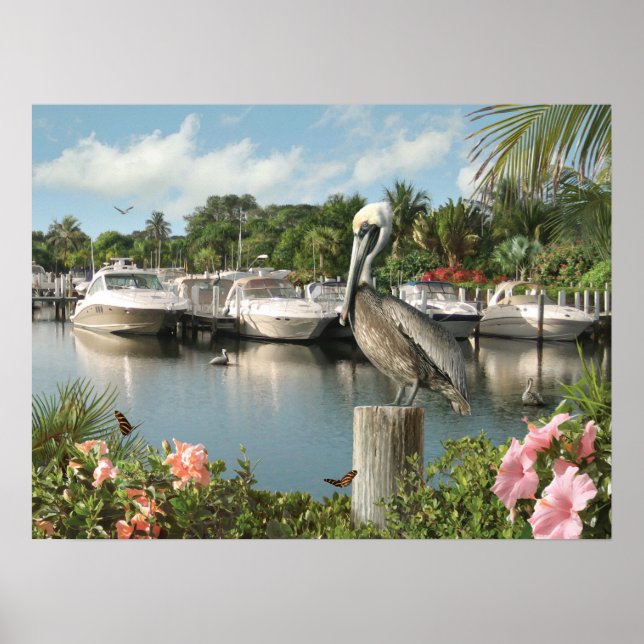 Alan Giana "Pelican Cove" Poster (Framsidan)