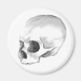Alas fattiga Yorick! Magnet