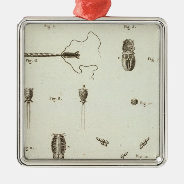 Alaska 3 julgransprydnad metall (Framsidan)