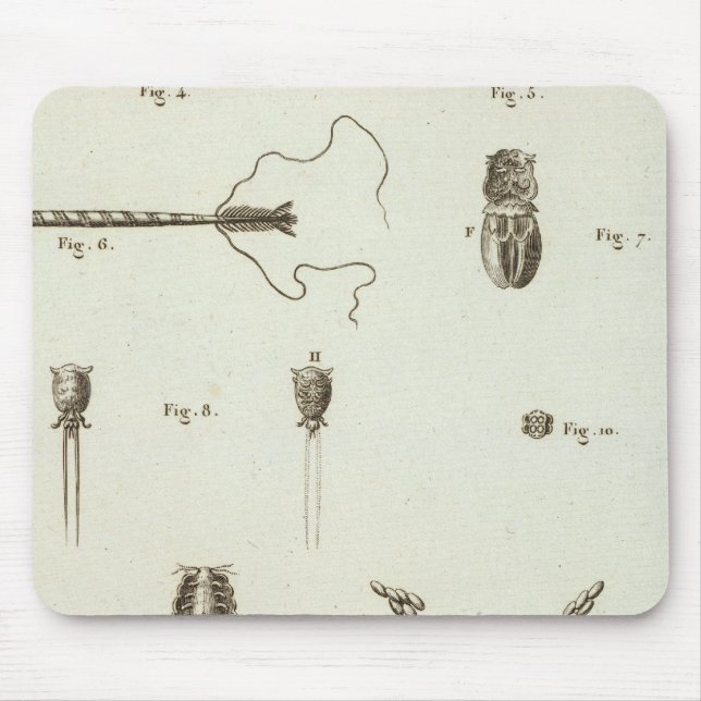 Alaska 3 musmatta (Framsidan)