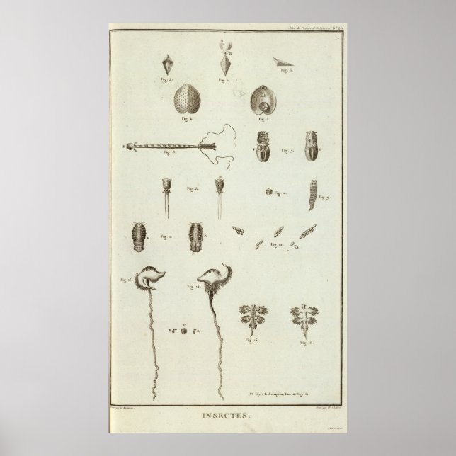 Alaska 3 poster (Framsidan)