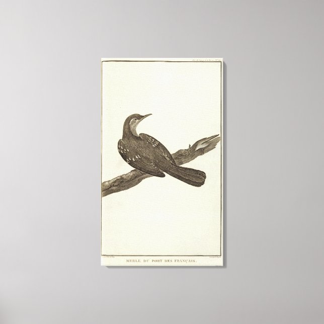 Alaska 6 canvastryck (Framsida)