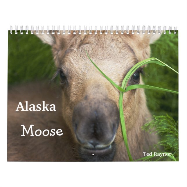 Alaska älg kalender (Omslag)