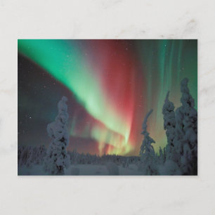 Alaska Aurora Borealis Vykort