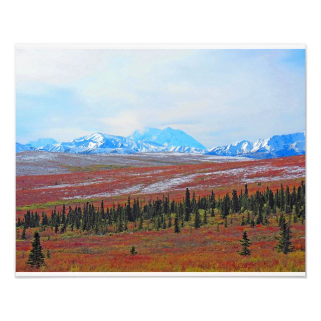 Alaska Äventyr-Denali- Landskap nr 3 Fototryck (Framsidan)