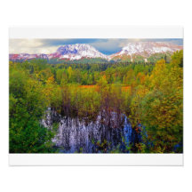 Alaska Äventyr - liggande 10