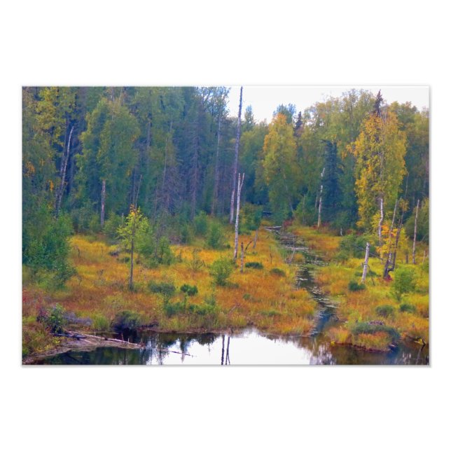 Alaska Äventyr - liggande 6 Fototryck (Framsidan)