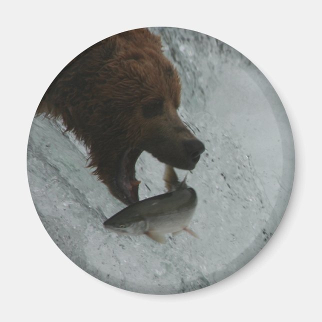 Alaska Bear-fångstlax Magnet (Framsidan)