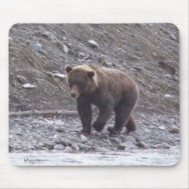 Alaska Bear Musmatta