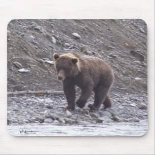 Alaska Bear Musmatta
