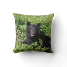 Alaska - Black Bear i Berry Busks