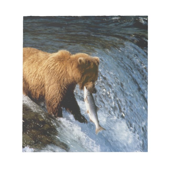 Alaska Brown Bear Catching Salmon vid Brooks Anteckningsblock (Framsida)