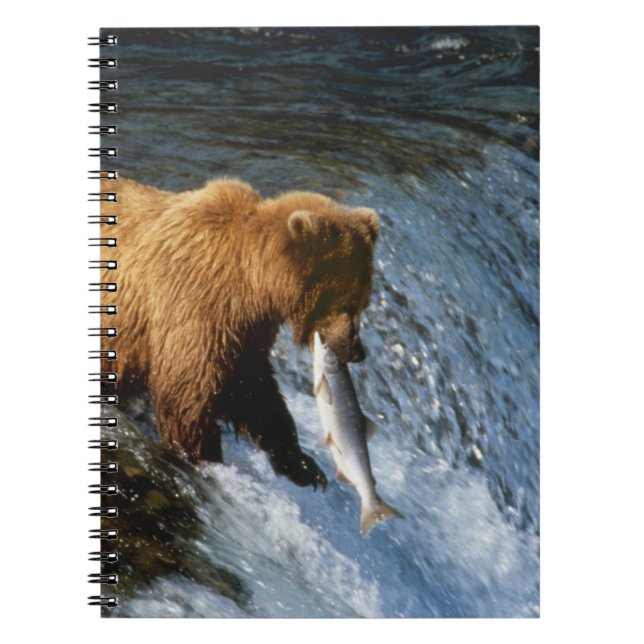 Alaska Brown Bear Catching Salmon vid Brooks Anteckningsbok (Framsidan)